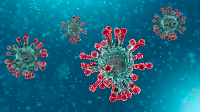Protein Nanorings Designed to Detect and Neutralise SARS-CoV2 Virus