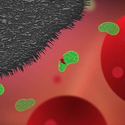 Medical Devices Armed Against Bacteria by Graphite Nanoplatelets