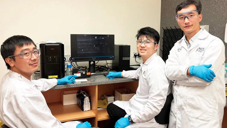 NUS Medicine Researchers Develop Fat-like Nanoparticles to Treat Fatty Liver Disease