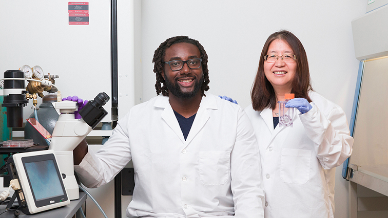 Spinning Bioreactors Boost Tiny Healing Particles for Cheaper Targeted Medicine