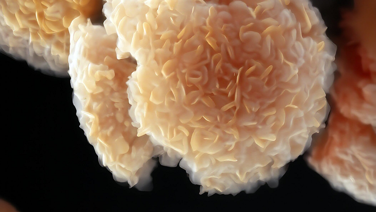 Research Reinvents MXene Synthesis