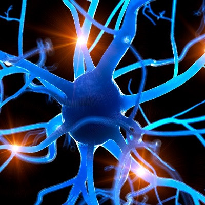 New Crystallization and Microgel Technology Advances Biohybrid Brain Research