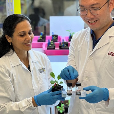 SMART Researchers Pioneer Sensor Multiplexing for Real-time Decoding of Different Plant Stresses