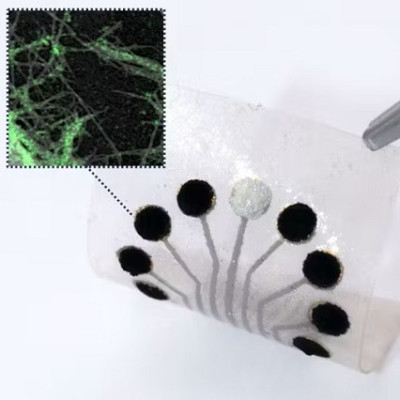 Sensor Technology Uses Nature’s Blueprint and Machinery to Monitor Metabolism in Body