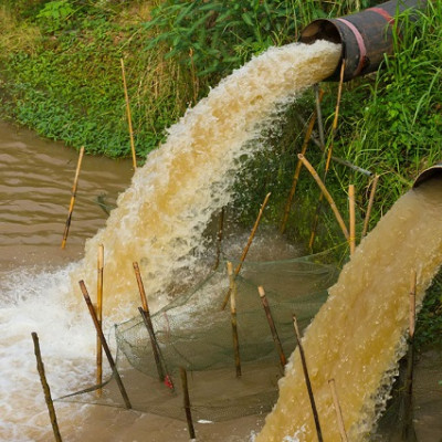 Rice Improves Catalyst That Destroys ‘Forever Chemicals’ with Sunlight