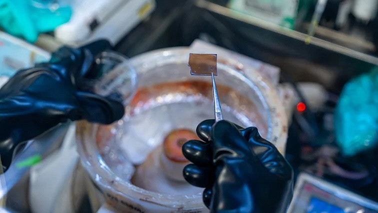 Perfectly Symmetrical 2D Perovskites Boost Energy Transport