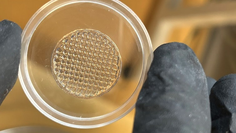 Printed Skin to Replace Animal Testing