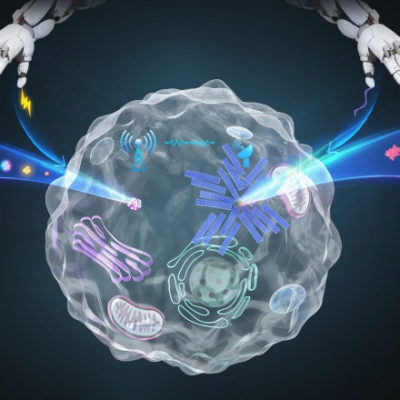 Breakthrough in Synthetic Cell Research