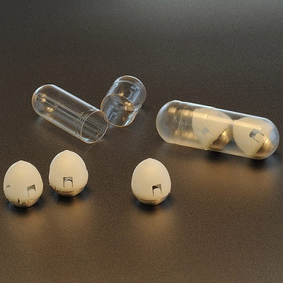 FDA Lets Toralgen's Insulin-delivering Nanopill into Tech Scheme