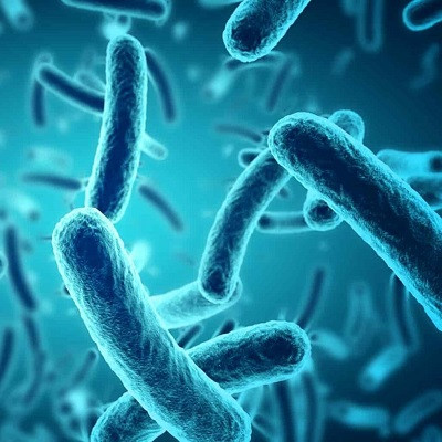 A Leap Forward in Transparent Antimicrobial Coatings