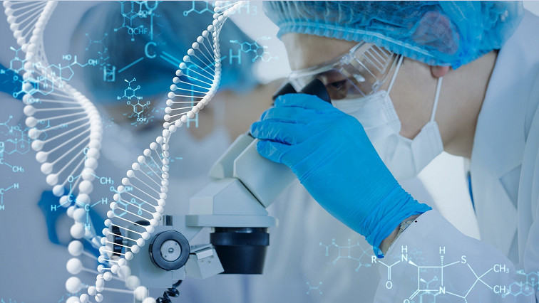 Molecular Detection Platform Provides New Insights into Gene Medicine Manufacturing