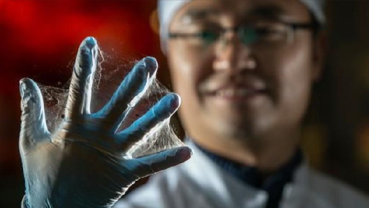 Multidrug Treatment Using Nanofibers Shows Promise for Glioblastoma