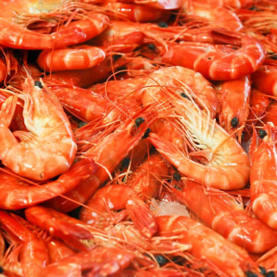 Break It Up: Polymer Derived from Material in Shrimp’s Shells Could Deliver Anti-Cancer Drugs to Tumor Sites