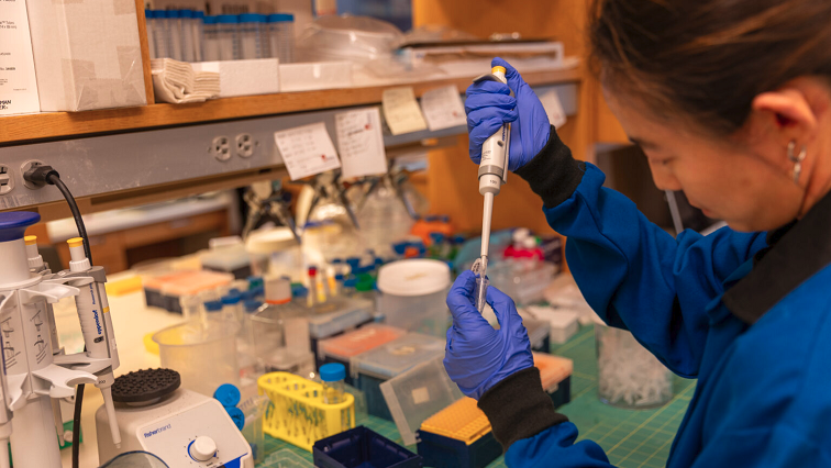 Penn Engineers Explore How Tumor Mechanics and Tiny Messengers Could Shape the Future of Cancer Research