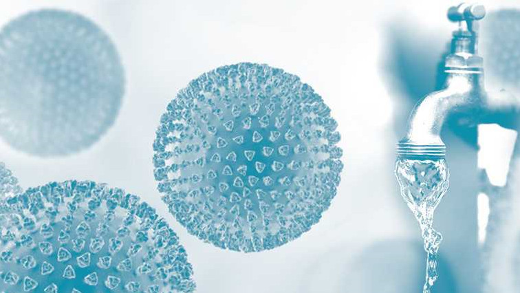 Filter Membrane Renders Viruses Harmless