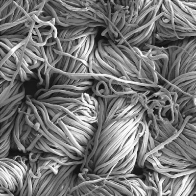 A New Antimicrobial Cotton Textile with Cu Ions in Nanofibers