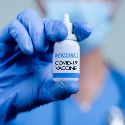 Inhalable COVID-19 Vaccine Shows Promise in Rodent Model