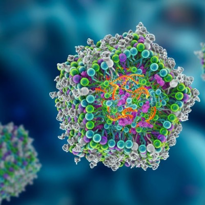 Delivering Genome Editing Components with Lipid Nanoparticles to Repair the Building Blocks of Muscles