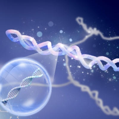 New Research Uncovers Hidden DNA Structures During Nanopore Sensing: Plectonemes Take Centre Stage