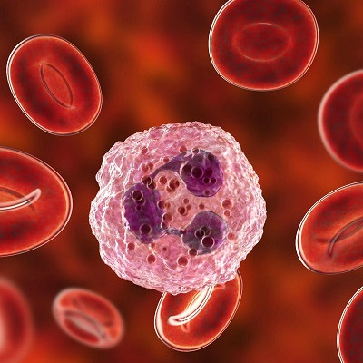 Nanoparticles in Medicine - Microbots to Blood Clots
