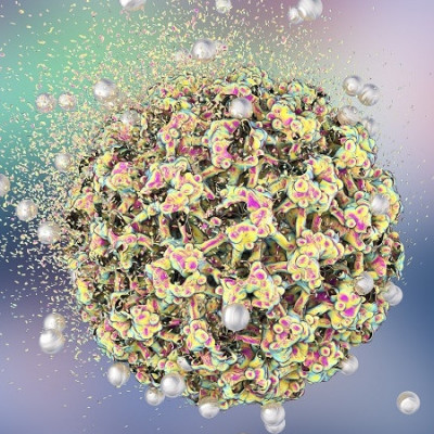 Trackable and Guided ‘Nanomissiles’ Deliver Cancer-fighting Drug Straight to the Tumor