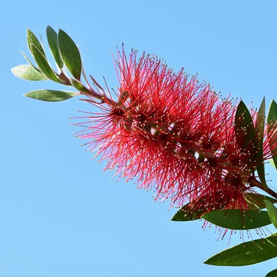 New Printable, Injectable Materials to Offer Solutions for Surgery and Drug Delivery