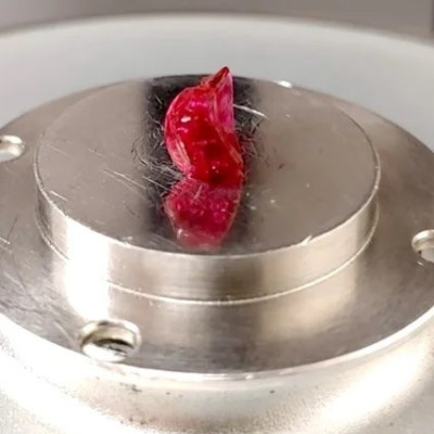 Rice Scientists Develop Hydrogel Platform for Long-lasting, Precision Drug Delivery