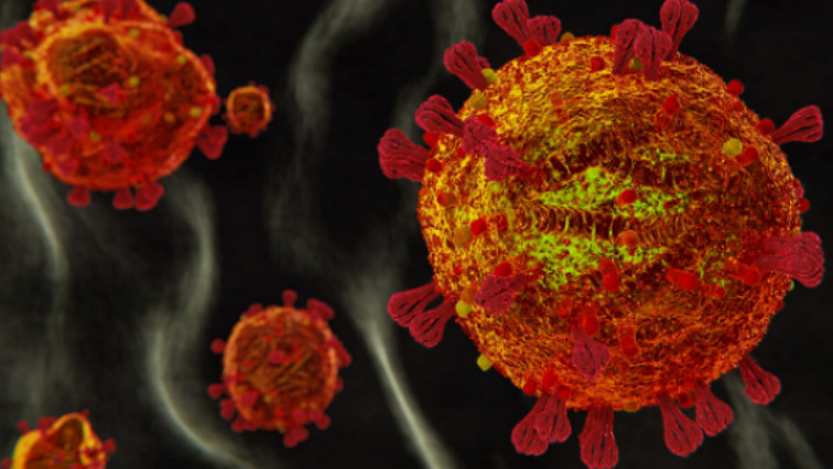 Inhalable Nanobody Shows Potent Anti-SARS-CoV-2 Activity in Vivo