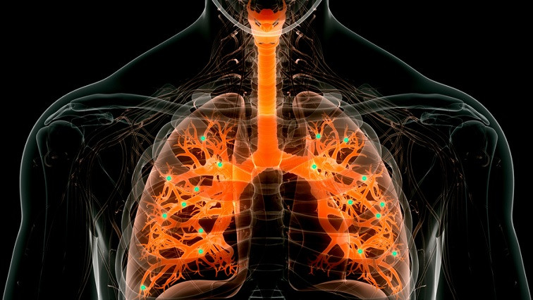 New Nanoparticles Can Perform Gene Editing in the Lungs