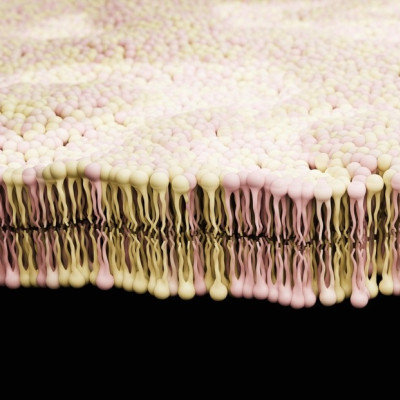 Slippery Ions Create A Smoother Path to Blue Energy