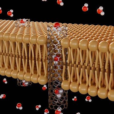 Novel Coupled Nanopore Platform Offers Greater Precision for Detecting Molecules