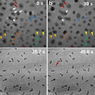 Understanding the Forces that Regulate Crystallization by Particle Attachment