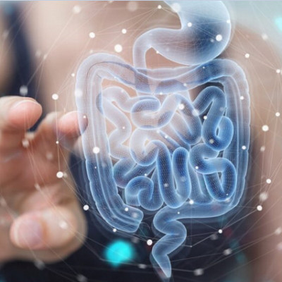 Research Suggests a New Nanomedicine Strategy for Treatment of IBD Patients