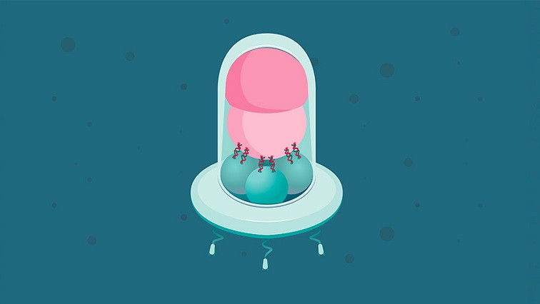 Like a Miniature Lunar Rocket: Researchers Develop Modular Nanorobot