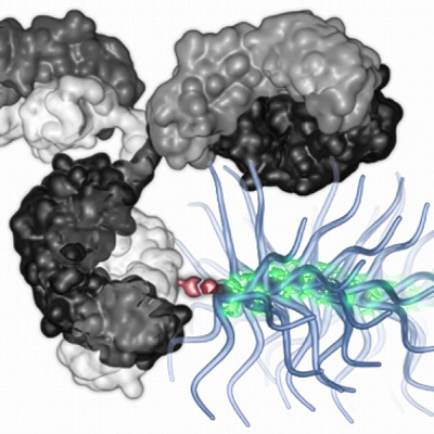 “Bottlebrush” Particles Deliver Big Chemotherapy Payloads Directly to Cancer Cells