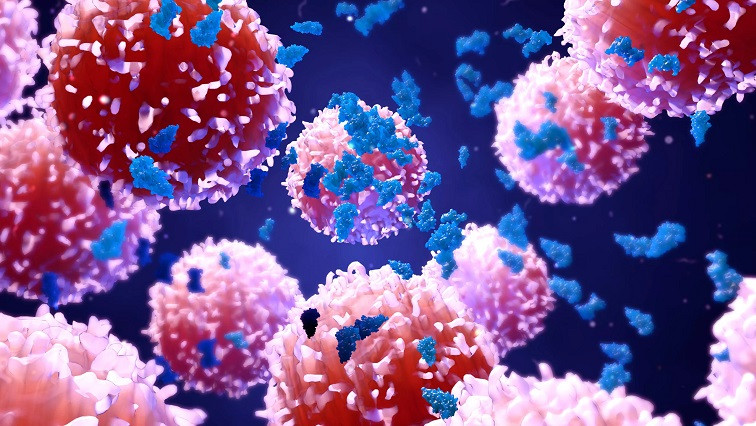 Nanobody-drug Conjugates Hijack the Human Vitamin B12 Uptake Route