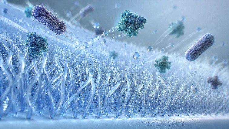 Nanoscale Bristles: The Future of Chemical-Free Germ Defense