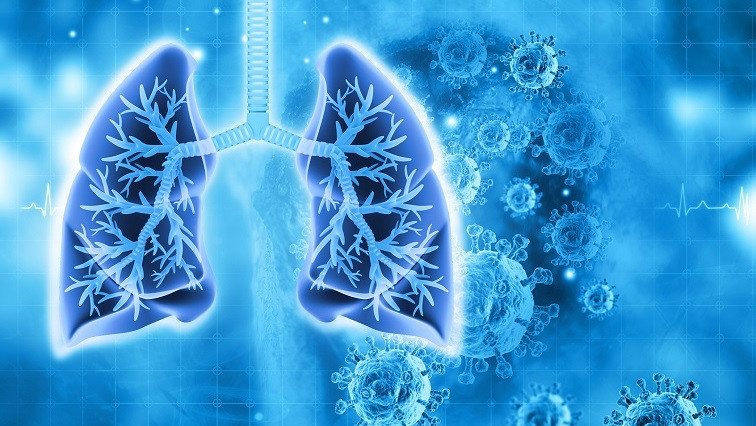 Researchers Breathe New Life into Lung Repair