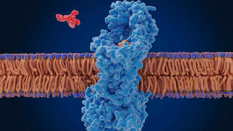 Linking Chemistry with Immune Response to Advance Drug Delivery