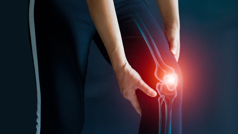 Regrowing Cartilage in a Damaged Knee Gets Closer to Fixing Arthritis