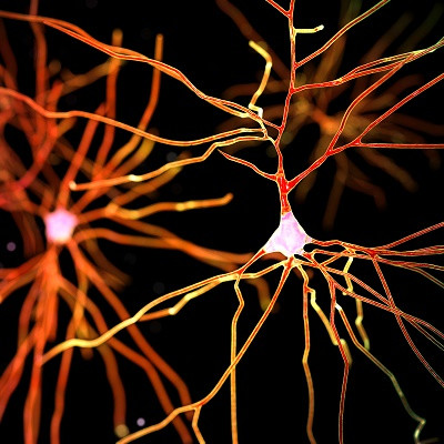 Bringing Drugs to the Brain with Nanoparticles to Treat Neurodegenerative Diseases