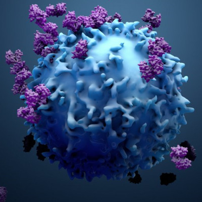 A Novel Nanoplatform for Delivering Drugs into Lymphocytes