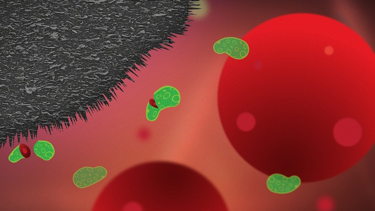 Medical Devices Armed Against Bacteria by Graphite Nanoplatelets