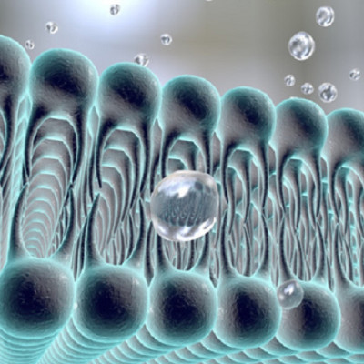 Concentration of Cell Membrane Components with Nanocarbon Materials