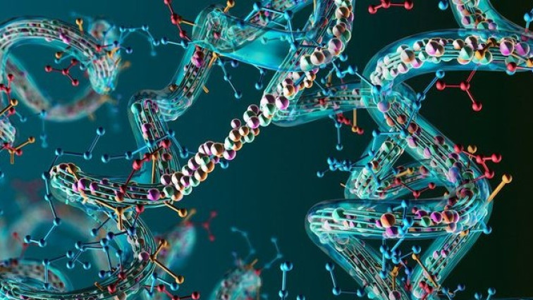New Immobilization Strategy Enables Reliable Surface Plasmon Resonance Analysis of Membrane Proteins