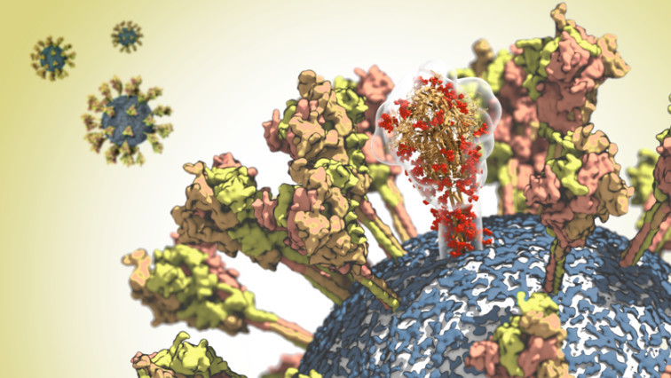 Turning a Coronavirus Protein into a Nanoparticle Could be Key for COVID-19 Vaccine