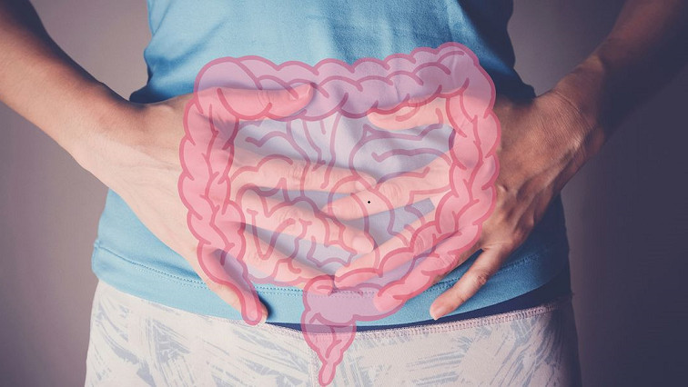 Probiotic ‘Backpacks’ Show Promise for Treating Inflammatory Bowel Diseases