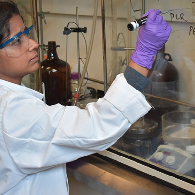 Purdue Researchers Take Inspiration from Viruses to Improve Delivery of Nucleic Acid-based Therapies to Cancer Cells