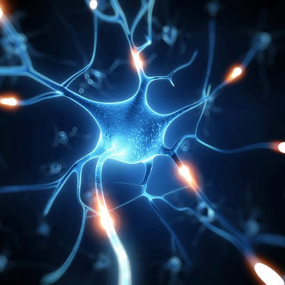 Nanoparticle-delivered RNA Reduces Neuroinflammation in Lab Tests