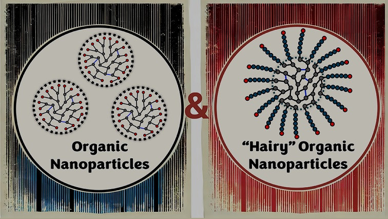 A New Class of Organic Nanoparticles